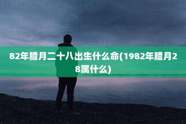 82年腊月二十八出生什么命(1982年腊月28属什么)
