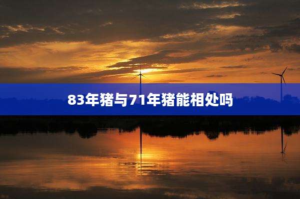83年猪与71年猪能相处吗