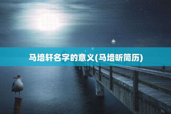 马培轩名字的意义(马培昕简历)