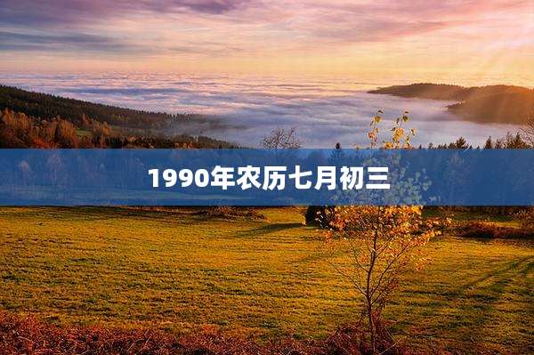 1990年农历七月初三