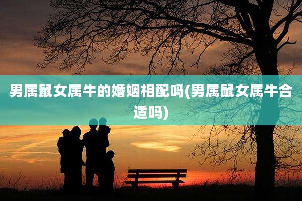 男属鼠女属牛的婚姻相配吗(男属鼠女属牛合适吗)