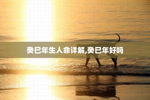 癸巳年生人命详解,癸巳年好吗