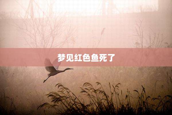 梦见红色鱼死了