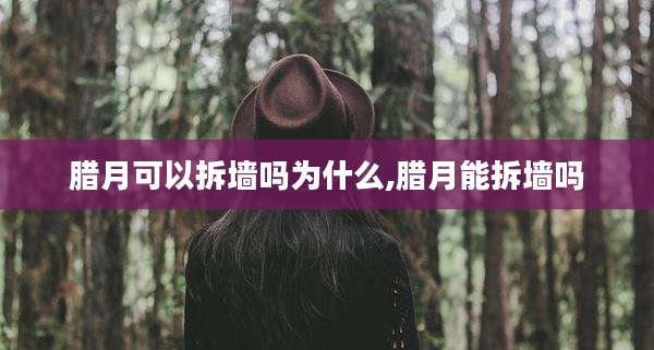 腊月可以拆墙吗为什么,腊月能拆墙吗