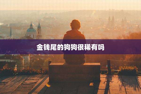 金钱尾的狗狗很稀有吗