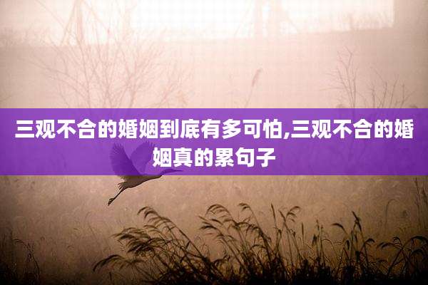 三观不合的婚姻到底有多可怕,三观不合的婚姻真的累句子