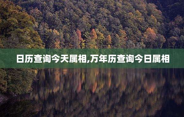 日历查询今天属相,万年历查询今日属相