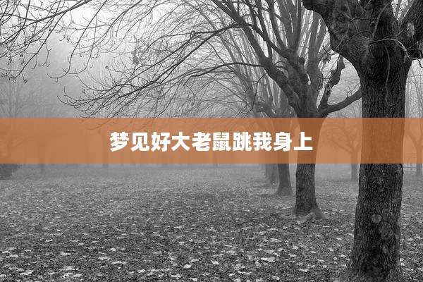 梦见好大老鼠跳我身上