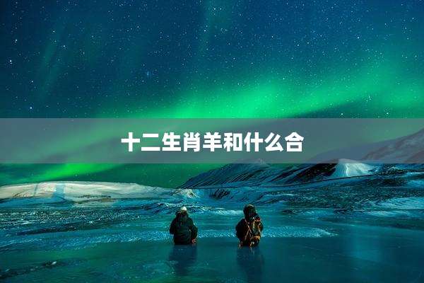 十二生肖羊和什么合