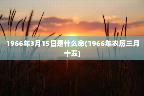 1966年3月15日是什么命(1966年农历三月十五)