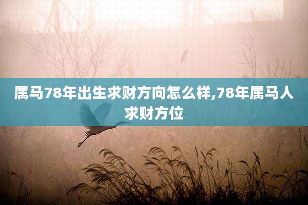 属马78年出生求财方向怎么样,78年属马人求财方位