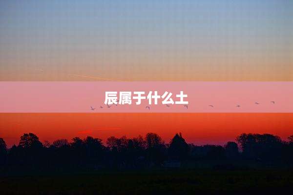 辰属于什么土