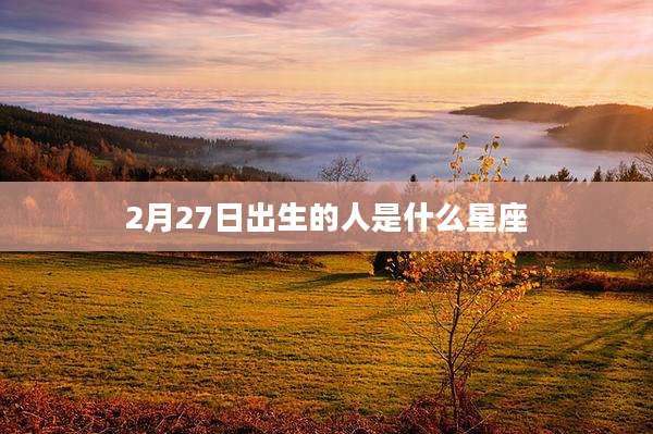 2月27日出生的人是什么星座