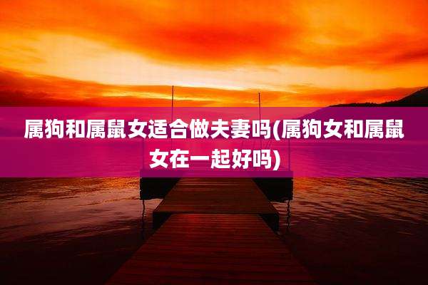 属狗和属鼠女适合做夫妻吗(属狗女和属鼠女在一起好吗)