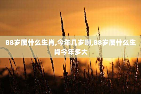 88岁属什么生肖,今年几岁啊,88岁属什么生肖今年多大