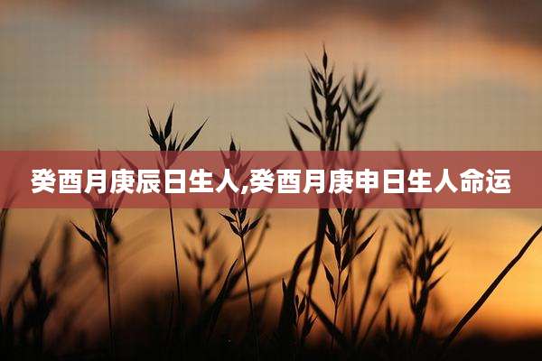 癸酉月庚辰日生人,癸酉月庚申日生人命运