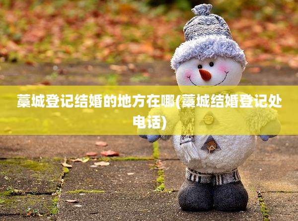 藁城登记结婚的地方在哪(藁城结婚登记处电话)