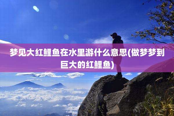 梦见大红鲤鱼在水里游什么意思(做梦梦到巨大的红鲤鱼)