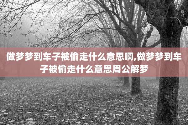 做梦梦到车子被偷走什么意思啊,做梦梦到车子被偷走什么意思周公解梦