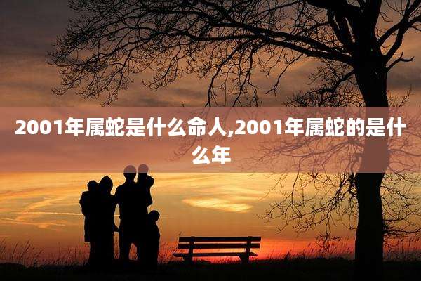 2001年属蛇是什么命人,2001年属蛇的是什么年