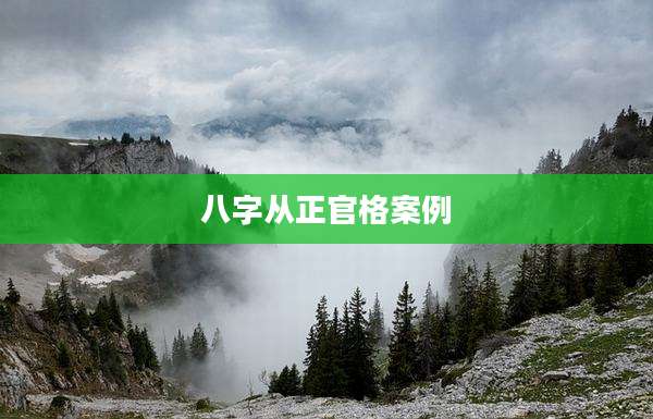 八字从正官格案例