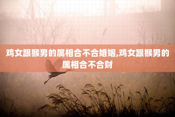 鸡女跟猴男的属相合不合婚姻,鸡女跟猴男的属相合不合财