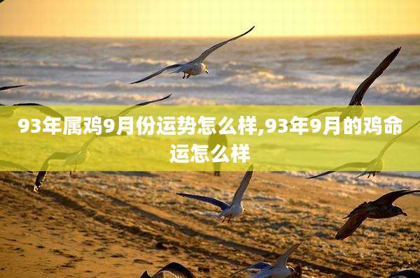 93年属鸡9月份运势怎么样,93年9月的鸡命运怎么样