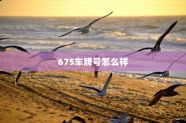 675车牌号怎么样