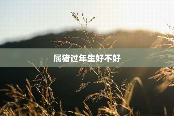 属猪过年生好不好