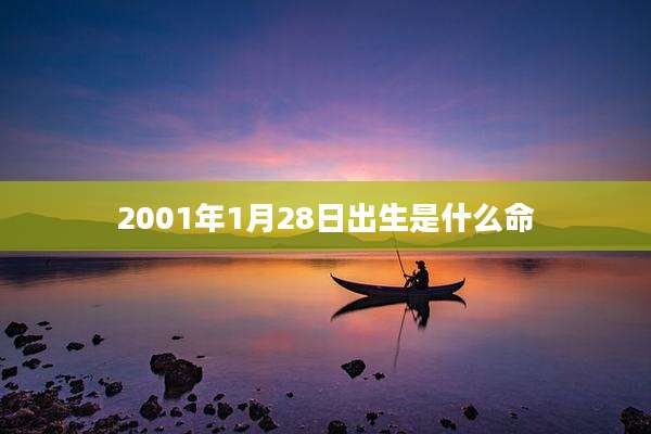 2001年1月28日出生是什么命