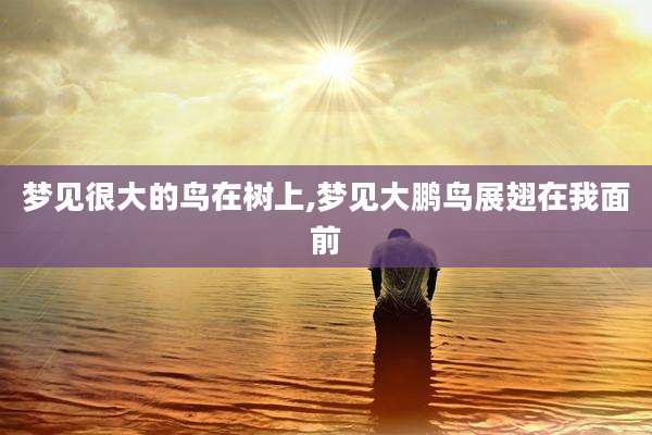 梦见很大的鸟在树上,梦见大鹏鸟展翅在我面前
