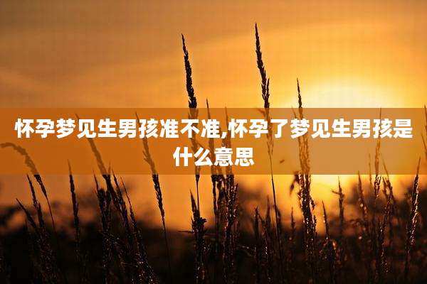 怀孕梦见生男孩准不准,怀孕了梦见生男孩是什么意思