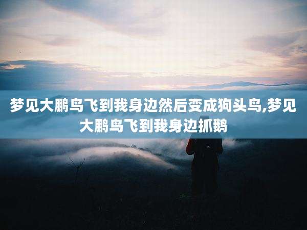 梦见大鹏鸟飞到我身边然后变成狗头鸟,梦见大鹏鸟飞到我身边抓鹅