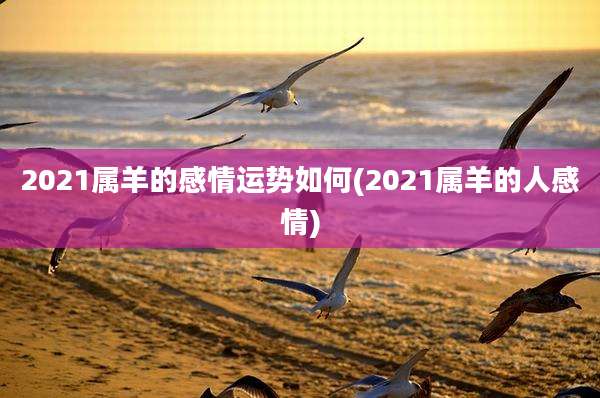 2021属羊的感情运势如何(2021属羊的人感情)