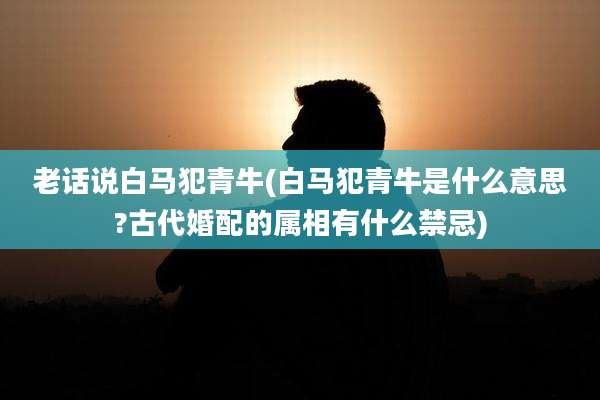老话说白马犯青牛(白马犯青牛是什么意思?古代婚配的属相有什么禁忌)