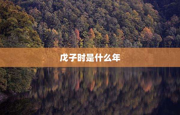 戊子时是什么年