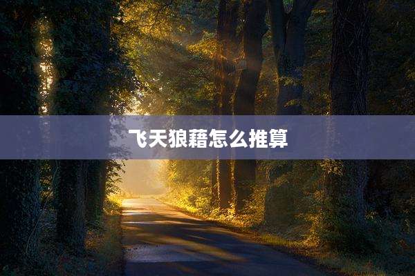 飞天狼藉怎么推算