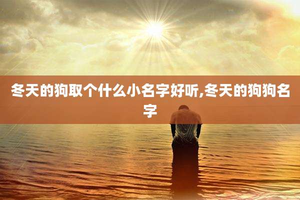 冬天的狗取个什么小名字好听,冬天的狗狗名字