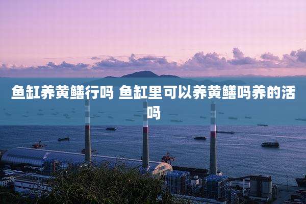 鱼缸养黄鳝行吗 鱼缸里可以养黄鳝吗养的活吗