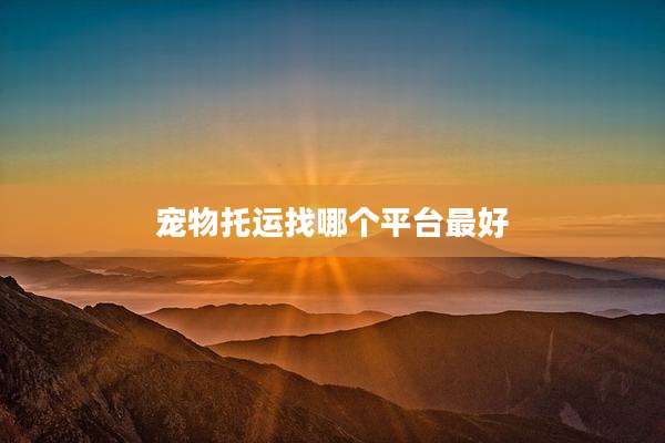 宠物托运找哪个平台最好