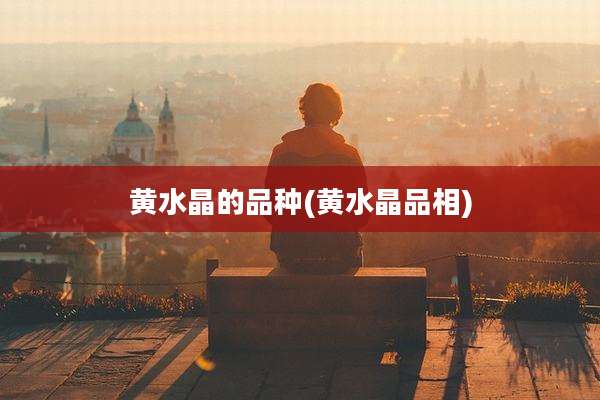 黄水晶的品种(黄水晶品相)
