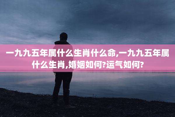 一九九五年属什么生肖什么命,一九九五年属什么生肖,婚姻如何?运气如何?