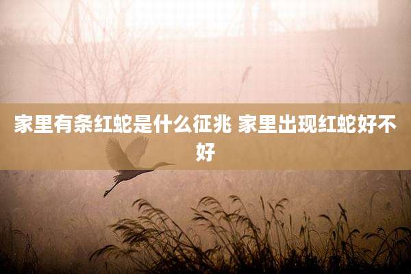 家里有条红蛇是什么征兆 家里出现红蛇好不好