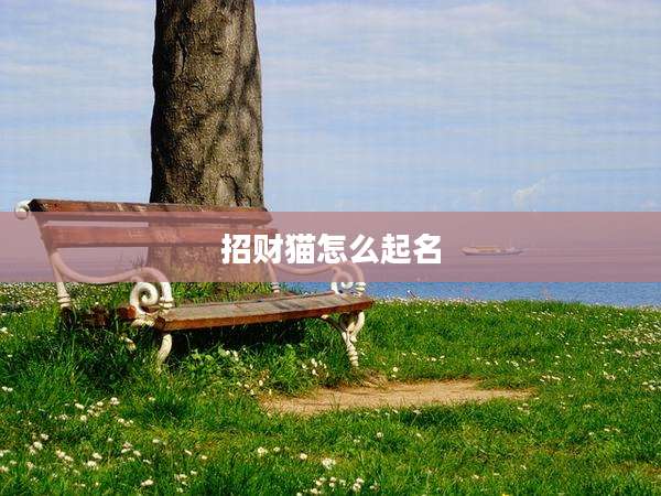 招财猫怎么起名