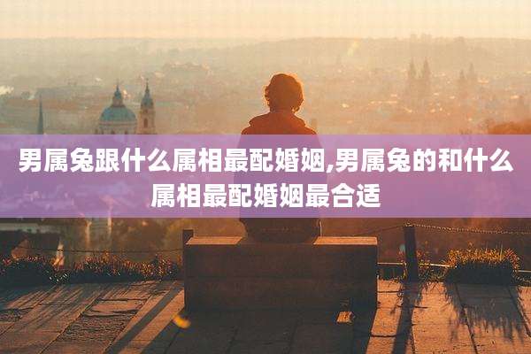 男属兔跟什么属相最配婚姻,男属兔的和什么属相最配婚姻最合适