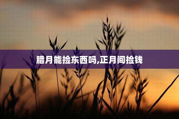 腊月能捡东西吗,正月间捡钱