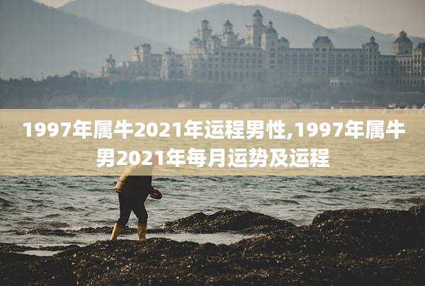 1997年属牛2021年运程男性,1997年属牛男2021年每月运势及运程