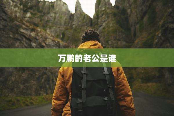 万鹏的老公是谁