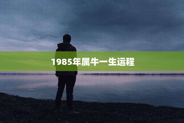 1985年属牛一生运程