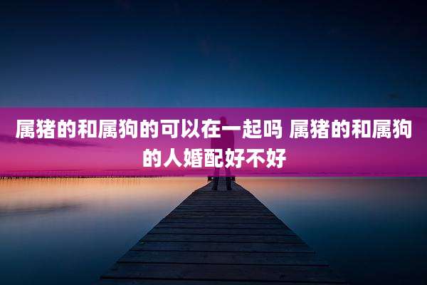 属猪的和属狗的可以在一起吗 属猪的和属狗的人婚配好不好